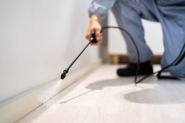 Licensed Pest Control service in Humboldt, IA - Show Me Pest Control