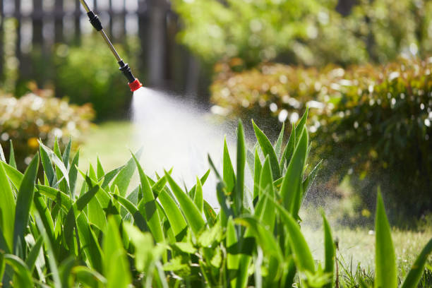 Tamper-Resistant Bait Stations for Rodents in Humboldt
