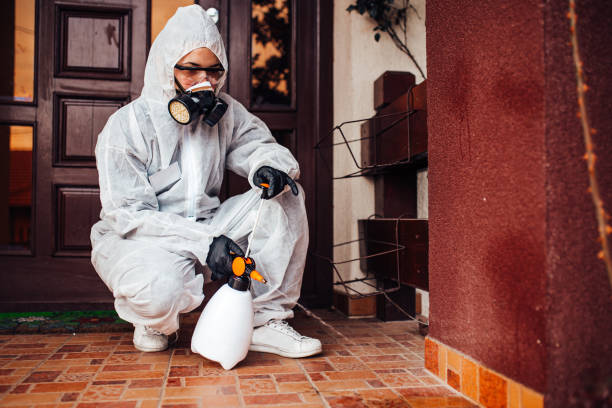 Attic and Crawl Space Rodent Treatment in Humboldt